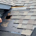 Removing shingles