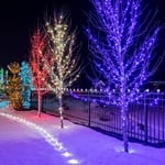 Trees