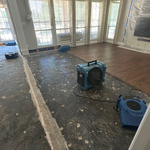 Full Home Restoration