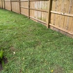 Luxurious Landscaping & Design, LLC