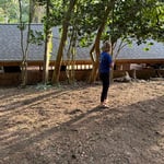 Luxurious Landscaping & Design, LLC