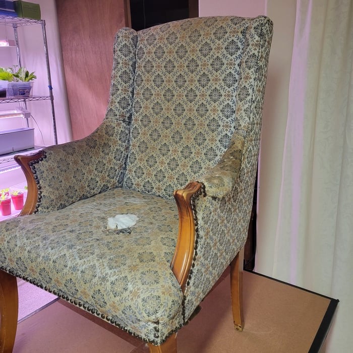 Vintage Wing Chair