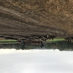 Logging