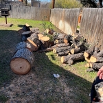Stump Disposal