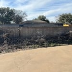 landscaping removal