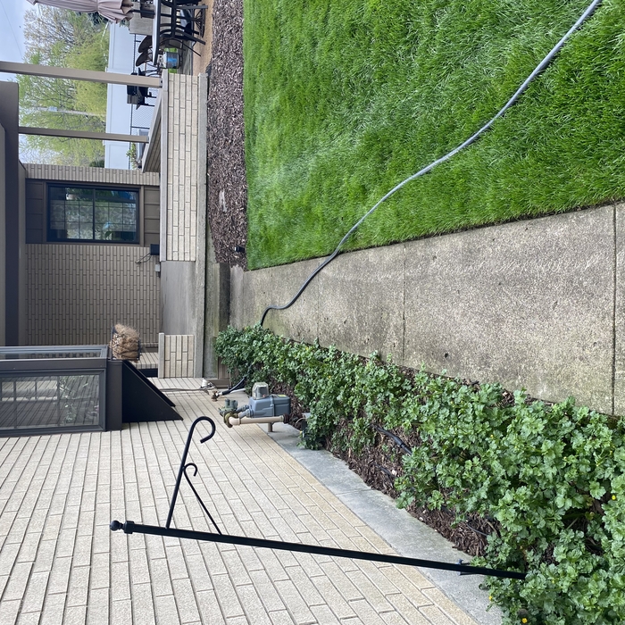 Sidewalk
