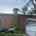 Hazardous tree removal