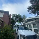 Hazardous tree removal