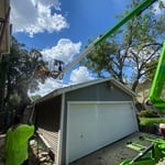 Hazardous tree removal
