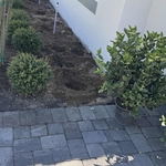 Landscape beautification