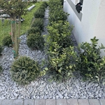 Landscape beautification