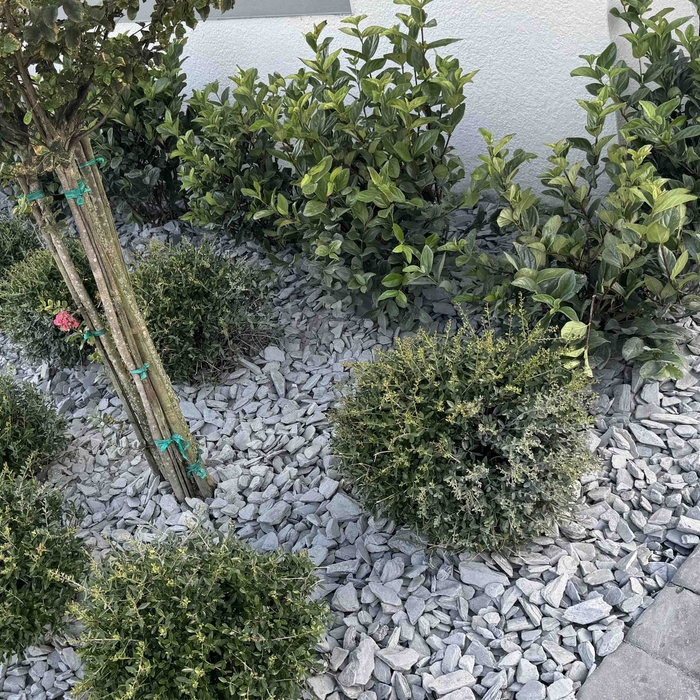 Landscape beautification