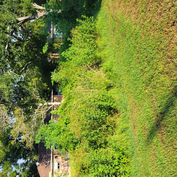 Land clearing