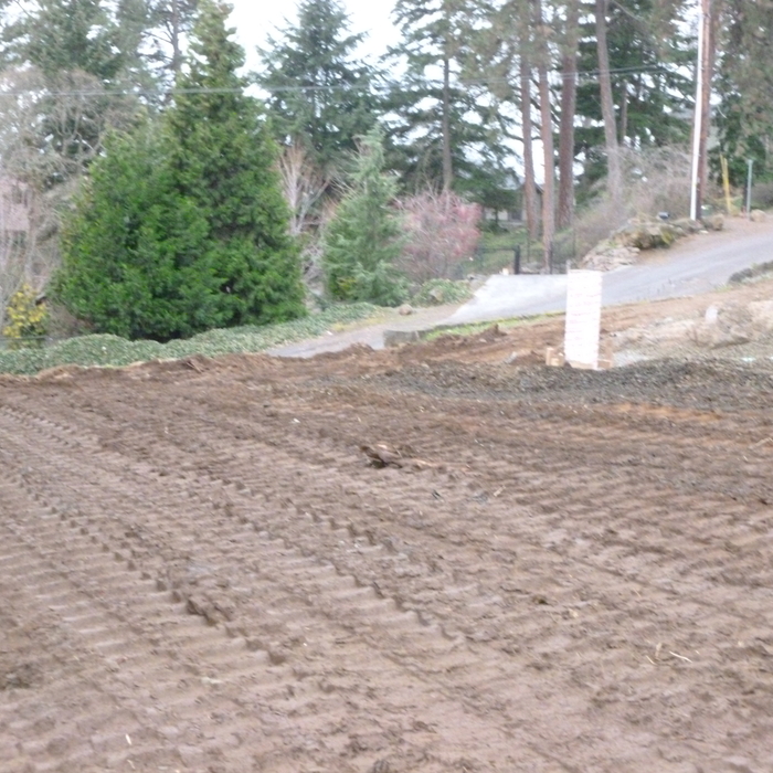 Completed Ground Loop