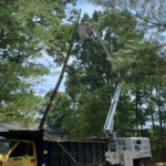 EZ TREE SOLUTIONS
