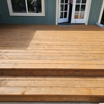 Elite Douglas Fir