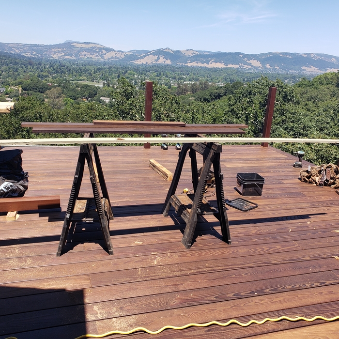 Elite Douglas Fir
