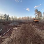 Land clearing project, getting ready to dig a pond