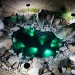 Backyard LED Landscaping