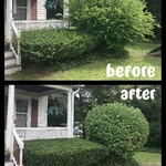 Landscaping 2023