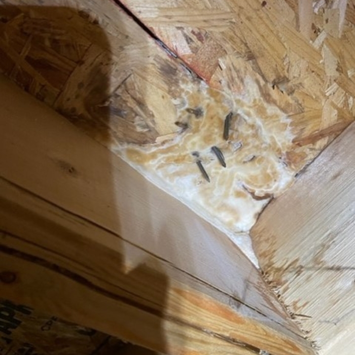 Interior Mold