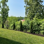 Brand new mulch bed with trees for future privacy