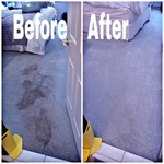 Commercial Carpet