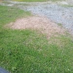 Finshed stump ground