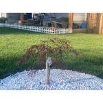 Front Yard - Weekly Client #2