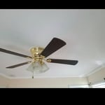 Ceiling Paint And Finish