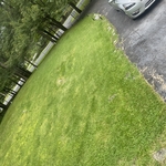 Mowing