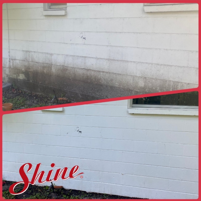Mold, Dirt and Gook Gone!