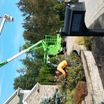 Tree Service