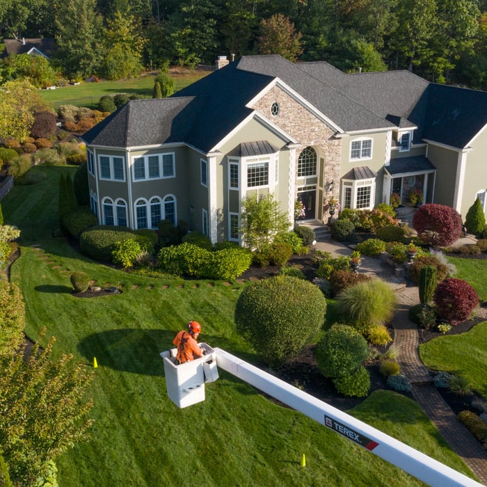 Tree Service