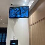 Video surveillance and intercom