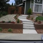 front yard