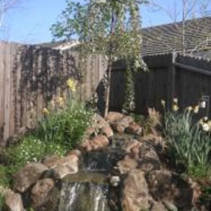 Water Features