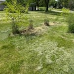 also side yard