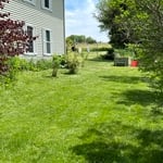 side yard