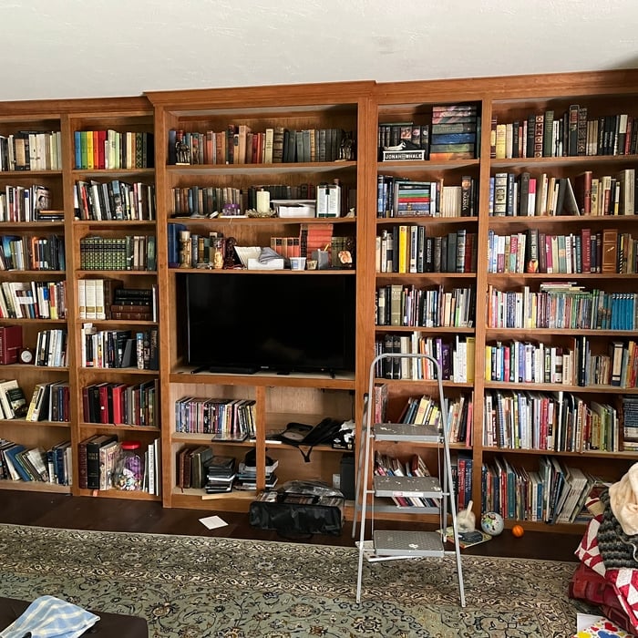 Wall of bookcases