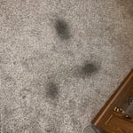 Before Spot Treatment