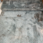 Carpet Cleaning in a camper trailer