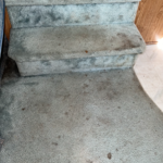 Carpet Cleaning in a camper trailer