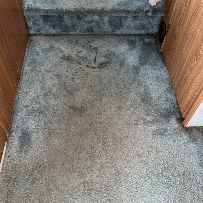 Carpet Cleaning in a camper trailer