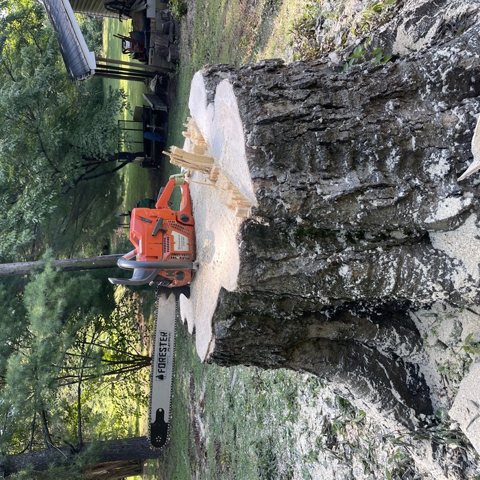 Previous Tree Jobs