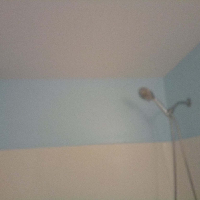 BATHROOM PAINT