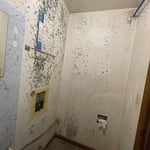 Mold
