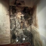Mold