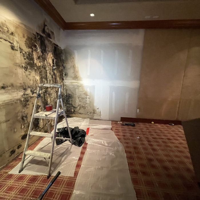 Mold