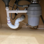 double sink and disposal